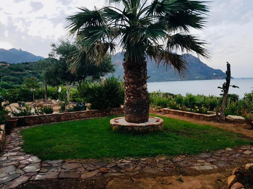 Il Bacio Del Sole Διαμέρισμα Tertenìa Εξωτερικό φωτογραφία